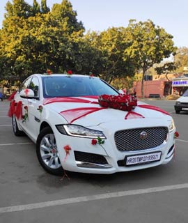 Jaquar Wedding Car Chandigarh